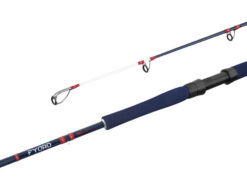 DELPHIN Fyord BigBoat dĺžka 2