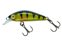 Illex Chubby Minnow Perch 3