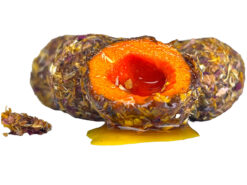 LK BAITS Nutrigo Amur Herb Nectar LK BAITS www.24k.sk