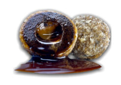 LK BAITS Nutrigo Balanc Particle Tiger Nuts priemer 24 mm LK BAITS www.24k.sk