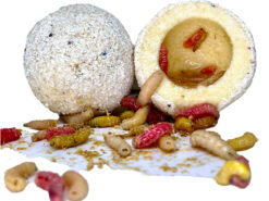 LK BAITS Nutrigo Monster Live Stink Woorm LK BAITS www.24k.sk