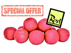 LK BAITS RH Original Squid Octopus