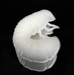 Larva HARMONY BAITS Scarab