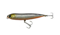 Owner Zip' N Ziggy 8cm 02 OWNER www.24k.sk