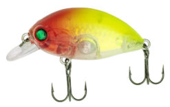 QUANTUM Fat Minnow SR