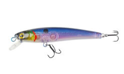ROBINSON Marteen S65