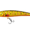 ROBINSON Marteen S65