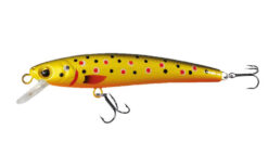 ROBINSON Marteen S65