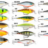 Rapala Shad Rap Shallow Runner SFC 5cm RAPALA www.24k.sk