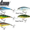 SALMO Executor Shallow Runned 5cm Real Hot Perch SALMO www.24k.sk