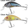 SALMO Hornet 4