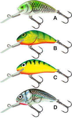 SALMO Hornet Floating 6F