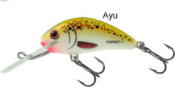 SALMO Hornet Sinking