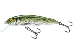 SALMO Minnow 7F