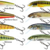 SALMO Minnow Sinking 5S Holo Bleak SALMO www.24k.sk