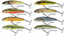 SALMO Minnow Sinking 5S Holo Bleak SALMO www.24k.sk