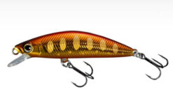 SHIMANO Cardiff Folletta 50SS