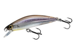SHIMANO Cardiff Folletta 50SS