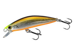 SHIMANO Cardiff Folletta 50SS