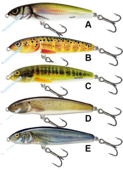 SALMO Minnow 5F E - Spirlin SALMO www.24k.sk