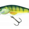 Salmo Perch 8DR 8cm PH SALMO www.24k.sk