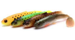 Set nástrah SAVAGE GEAR Craft Cannibal Paddletail SAVAGE GEAR www.24k.sk