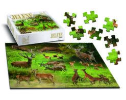 https://www.odimon.sk/buxus/images/fotogaleria/katalog_produktov/obuv_a_oblecenie/tetrao_1/polovnicke_vzdelavacie_hry_tetrao/polovnicke_puzzle_tetrao_jelene_108_dielikov/puzzle_108_dielikov_.jpg TETRAO www.24k.sk