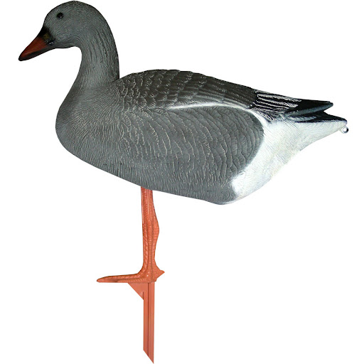 https://www.odimon.sk/buxus/images/fotogaleria/katalog_produktov/polovnicke_potreby_1/doplnky_na_lov/balabany/balaban_bean_goose_hus_siatinna_stojata_/balaban_sport_plast_lc_950.jpg SPORT PLAST www.24k.sk
