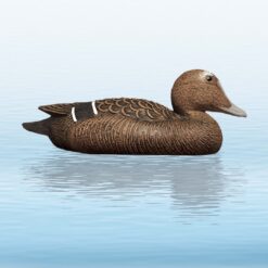 https://www.odimon.sk/buxus/images/fotogaleria/katalog_produktov/polovnicke_potreby_1/doplnky_na_lov/balabany/balaban_eider_hen_kajka_morska_sliepka/balaban_kajka_morska_sliepka_.jpg SPORT PLAST www.24k.sk