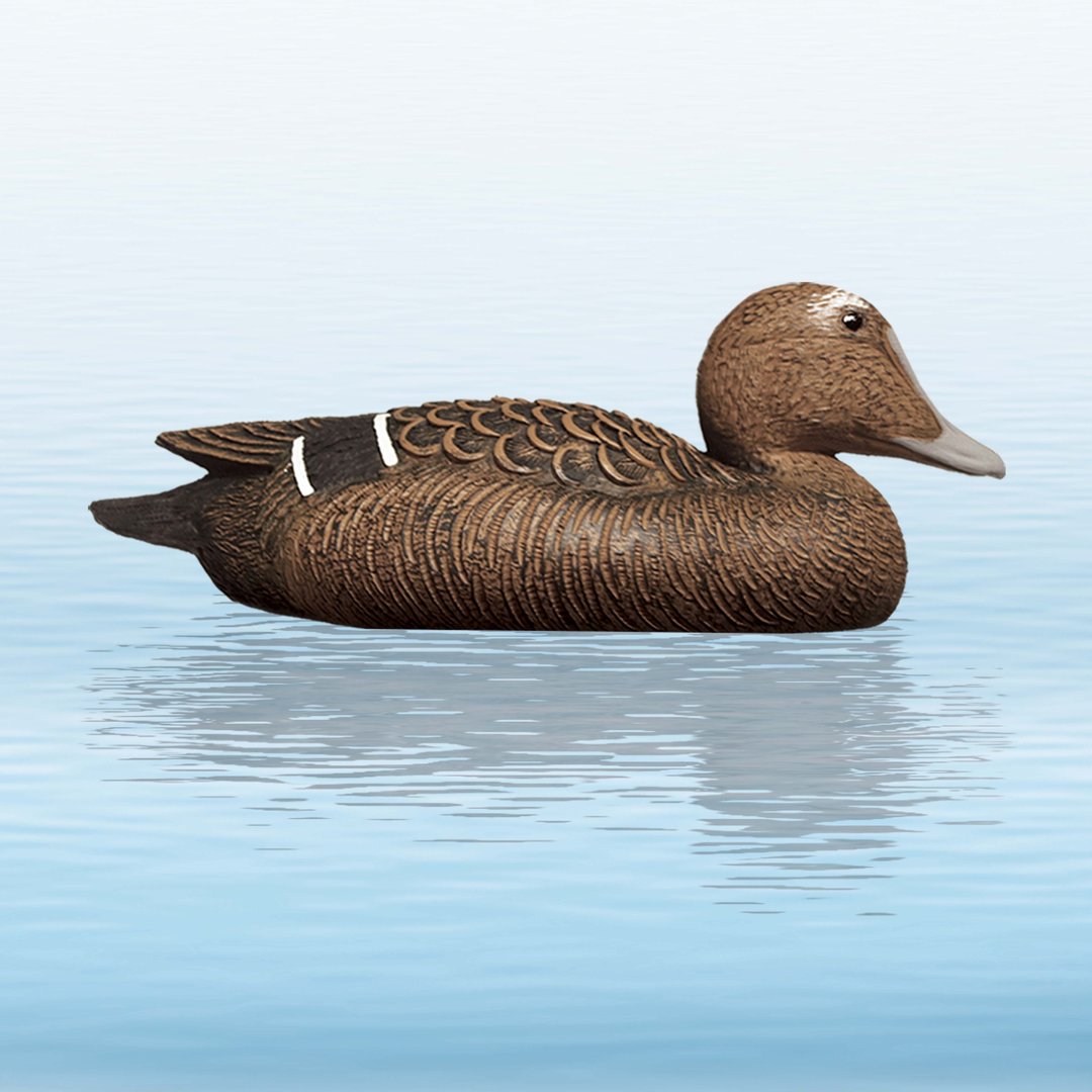https://www.odimon.sk/buxus/images/fotogaleria/katalog_produktov/polovnicke_potreby_1/doplnky_na_lov/balabany/balaban_eider_hen_kajka_morska_sliepka/balaban_kajka_morska_sliepka_.jpg SPORT PLAST www.24k.sk