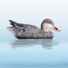 https://www.odimon.sk/buxus/images/fotogaleria/katalog_produktov/polovnicke_potreby_1/doplnky_na_lov/balabany/balaban_mallard_hen_kacica_diva_sliepka/balaban_divoka_sliepka_mallard_hen_.jpg SPORT PLAST www.24k.sk