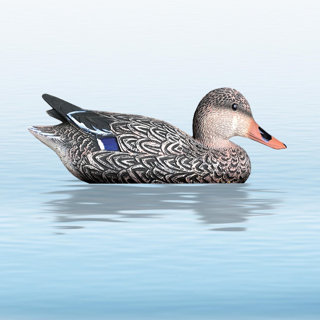 https://www.odimon.sk/buxus/images/fotogaleria/katalog_produktov/polovnicke_potreby_1/doplnky_na_lov/balabany/balaban_mallard_hen_kacica_diva_sliepka/balaban_divoka_sliepka_mallard_hen_.jpg SPORT PLAST www.24k.sk