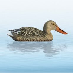 https://www.odimon.sk/buxus/images/fotogaleria/katalog_produktov/polovnicke_potreby_1/doplnky_na_lov/balabany/balaban_shoveler_hen_kacica_lyziciarka_sliepka/balaban_kacica_lyziciarka_sliepka_.jpg SPORT PLAST www.24k.sk