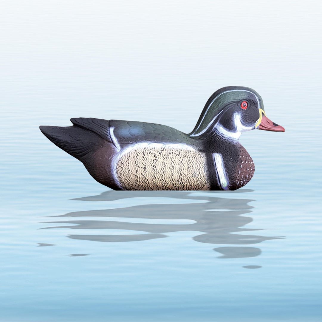 https://www.odimon.sk/buxus/images/fotogaleria/katalog_produktov/polovnicke_potreby_1/doplnky_na_lov/balabany/balaban_wood_duck_kacica_drevena_kohut/balaban_kacica_drevena_.jpg SPORT PLAST www.24k.sk