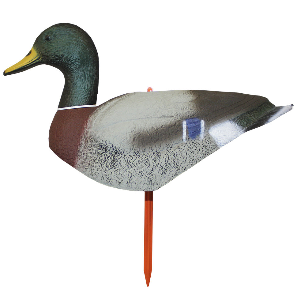 https://www.odimon.sk/buxus/images/fotogaleria/katalog_produktov/polovnicke_potreby_1/doplnky_na_lov/balabany/skladaci_balaban_mallard_drake_shell_kacica_diva_kohut_/skladaci_balaban_im01_.jpg SPORT PLAST www.24k.sk