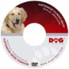https://www.odimon.sk/buxus/images/produkty/katalog_produktov/polovnicke_potreby/elektronicke_pomocky_pre_vycvik_psov_dogtrace/dvd_vycvik_psa_-_zakladne_povely/dogtrace_501_1.jpg Dogtrace www.24k.sk