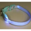 https://www.odimon.sk/buxus/images/produkty/katalog_produktov/polovnicke_potreby/elektronicke_pomocky_pre_vycvik_psov_dogtrace/obojok_svietiaci_synteticky_popruh_28-38_cm/dogtrace_06116M_1.jpg Dogtrace www.24k.sk