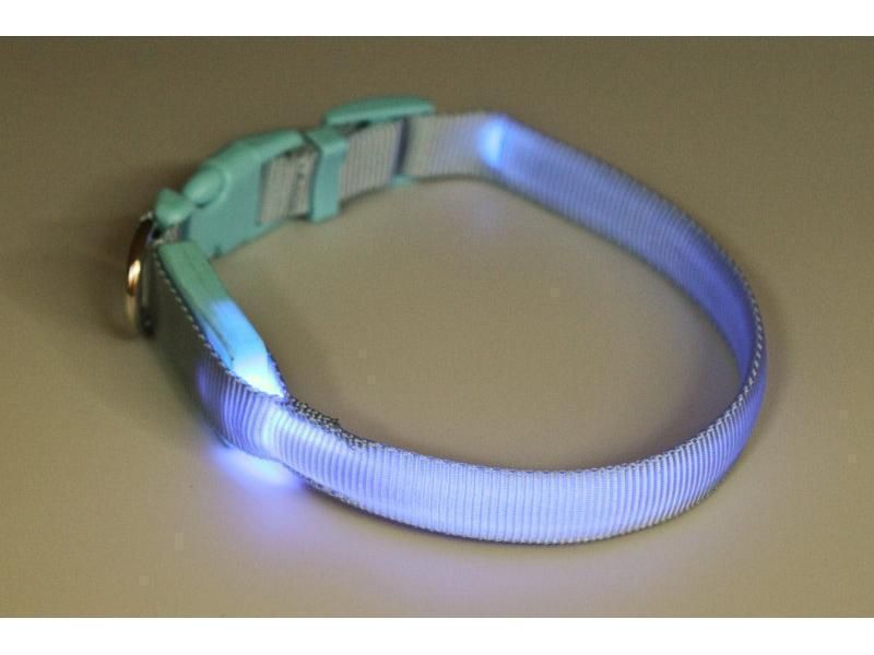 https://www.odimon.sk/buxus/images/produkty/katalog_produktov/polovnicke_potreby/elektronicke_pomocky_pre_vycvik_psov_dogtrace/obojok_svietiaci_synteticky_popruh_28-38_cm/dogtrace_06116M_1.jpg Dogtrace www.24k.sk