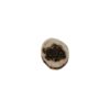 https://www.odimon.sk/buxus/images/produkty/katalog_produktov/polovnicke_potreby/kozeny_tovar_zubicek/bollo_parohove_-_rez_-_diviak_s_trubkou/20112110121031-7LP14g.jpg ZUBÍČEK www.24k.sk