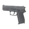 https://www.odimon.sk/buxus/images/produkty/katalog_produktov/polovnicke_potreby/vzduchovky_norica/vzduchova_pistol_co2_norica_model_sig_sauer_2022_45mm_bb/20180611141108-pistola_norica_nac_1702.jpg NORICA www.24k.sk